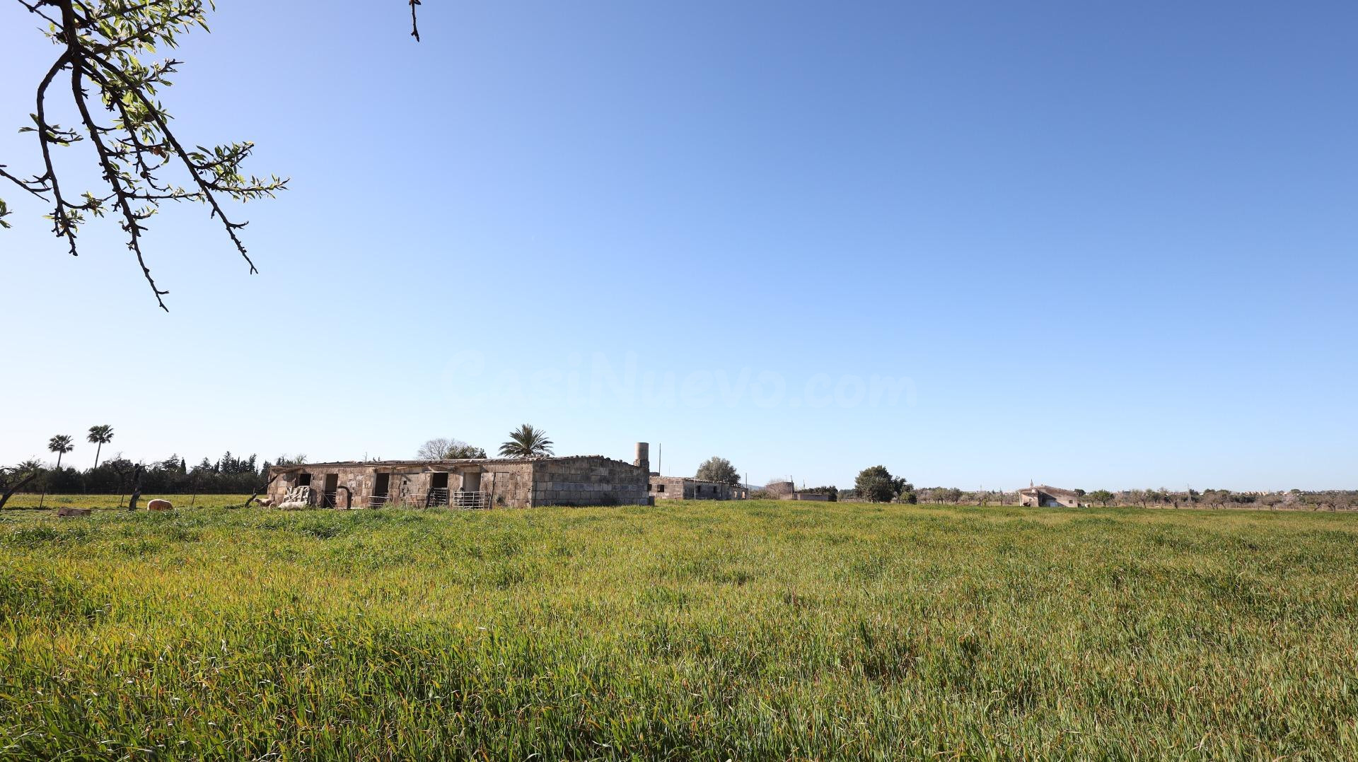 Se vende finca en Binissalem - foto 2