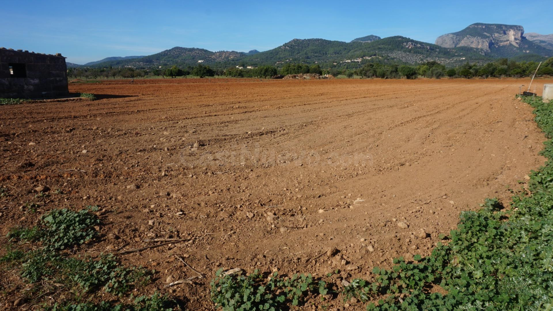 Se vende finca en Binissalem - foto 3