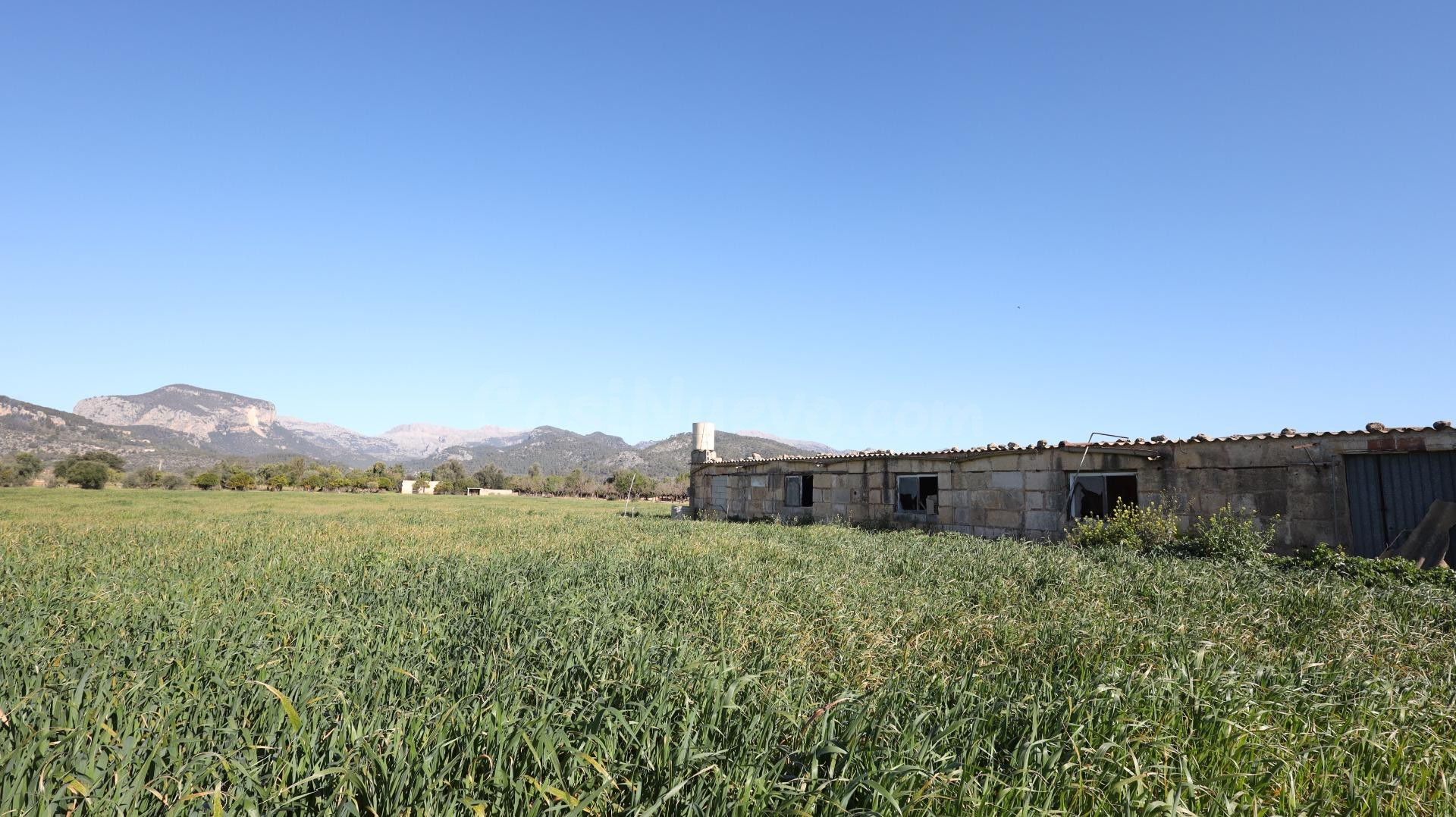 Se vende finca en Binissalem - foto 4