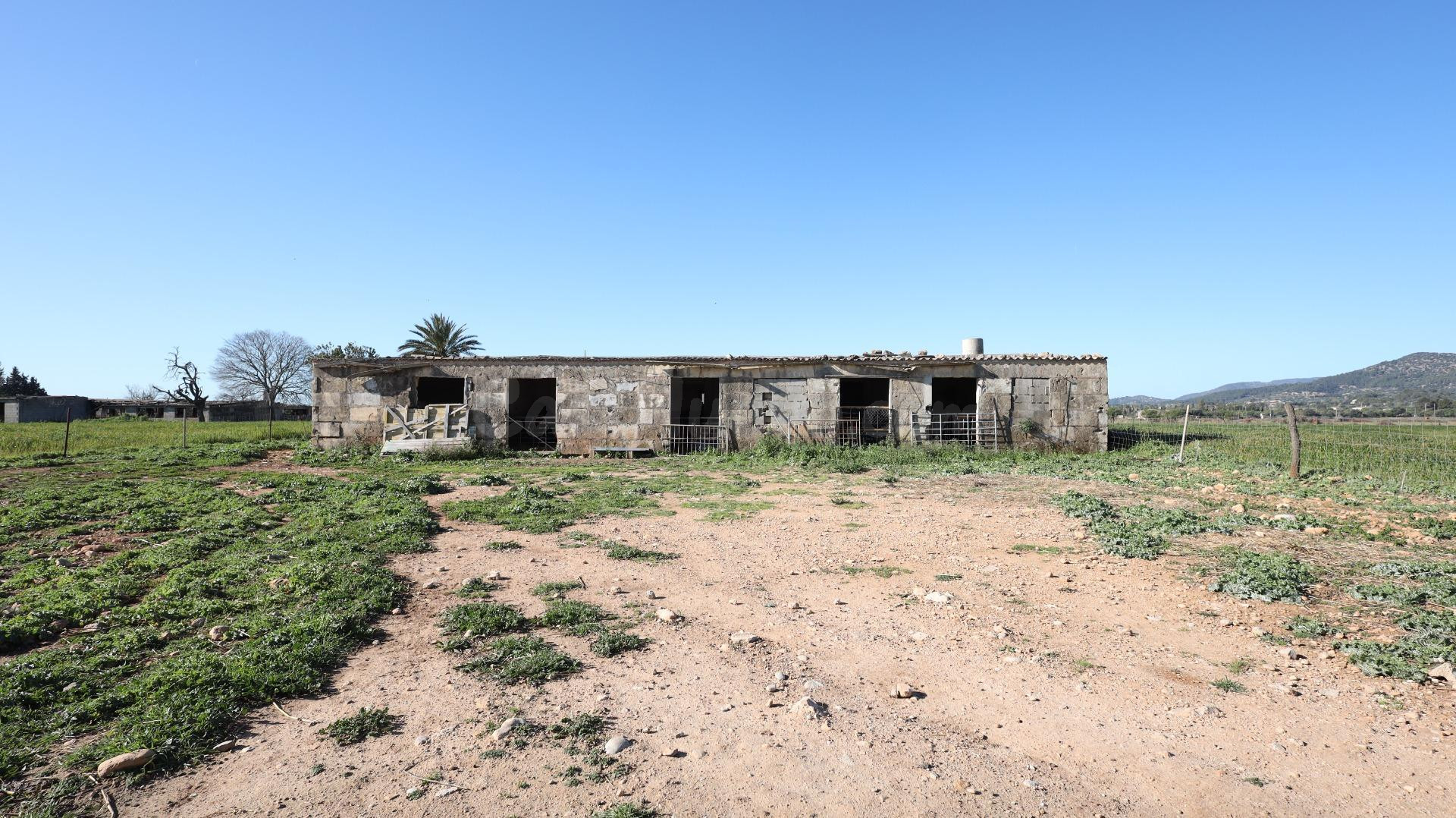 Se vende finca en Binissalem - foto 5