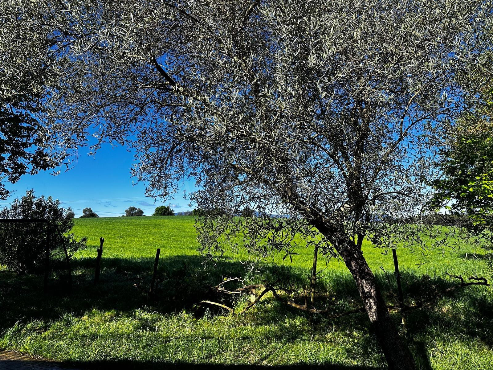 Finca rústica en Sencelles