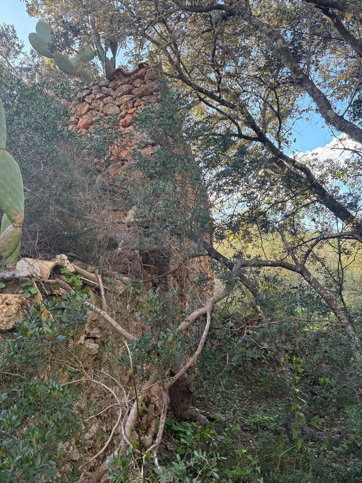 Finca rústica en Costitx de 28.000 m2 en terreno edificable