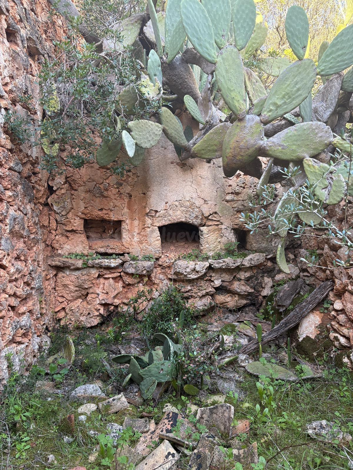 Finca rústica en Costitx de 28.000 m2 en terreno edificable - foto 3