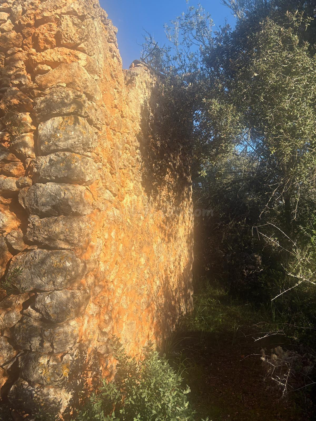 Finca rústica en Costitx de 28.000 m2 en terreno edificable - foto 4