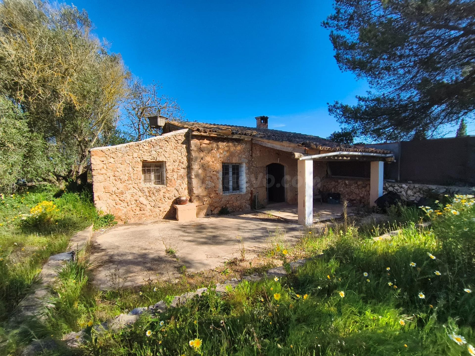 Finca rústica edificable entre Sencelles y Santa Eugènia – 1
