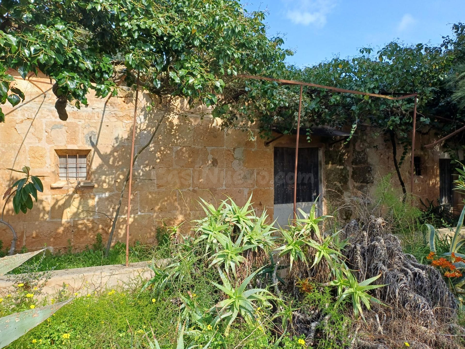 FINCA RUSTICA CON CASA DE PIEDRA EN SANTA MARIA DEL CAMI - foto 2