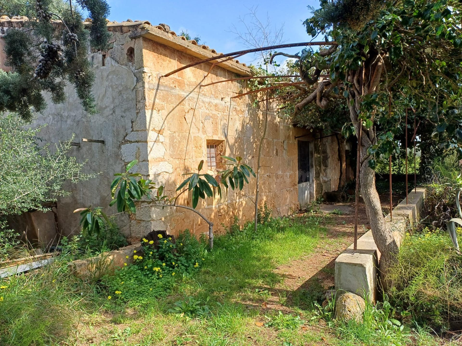 FINCA RUSTICA CON CASA DE PIEDRA EN SANTA MARIA DEL CAMI - foto 3