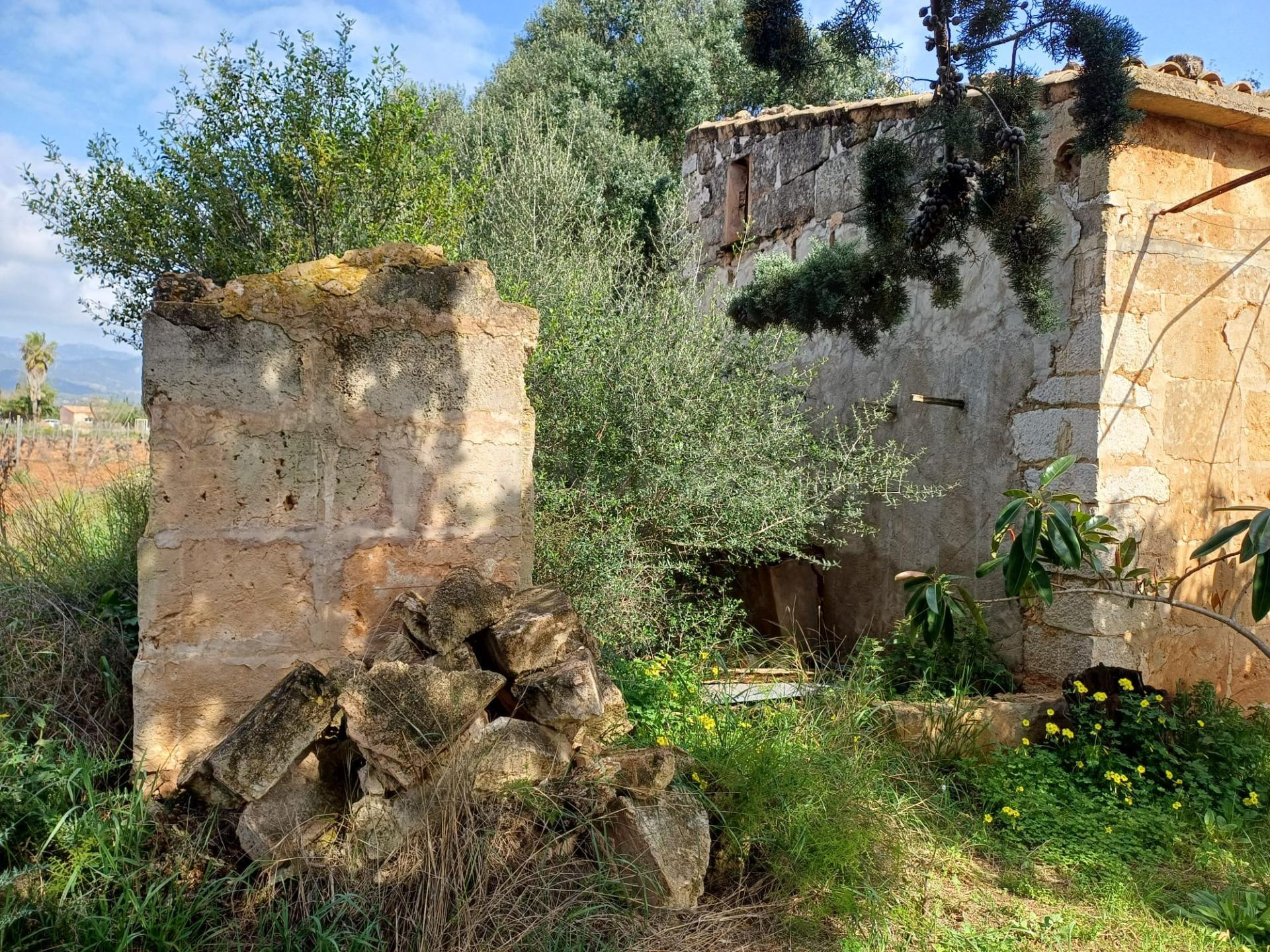 FINCA RUSTICA CON CASA DE PIEDRA EN SANTA MARIA DEL CAMI - foto 5