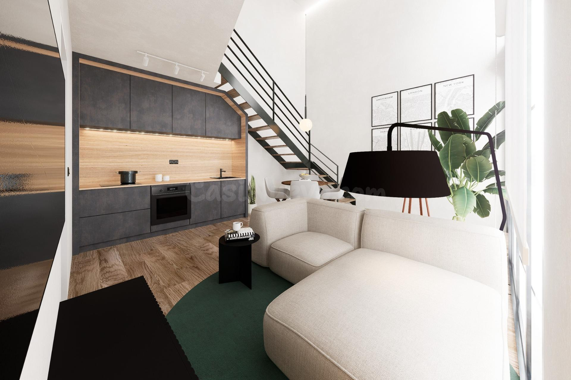 Modernos apartamentos dúplex tipo loft en el corazón de Alic - foto 3