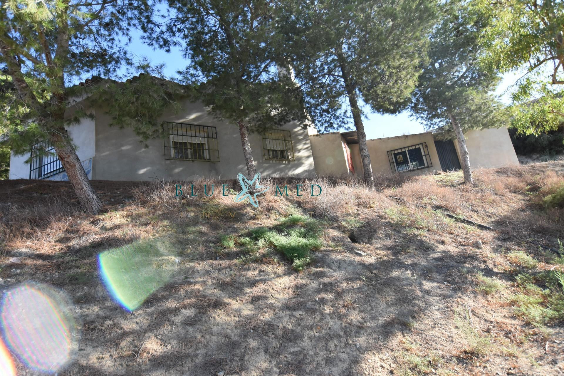 Casa de campo con balsón, derechos de agua y gran almacén en venta Los Ruices, Mazarrón - foto 2