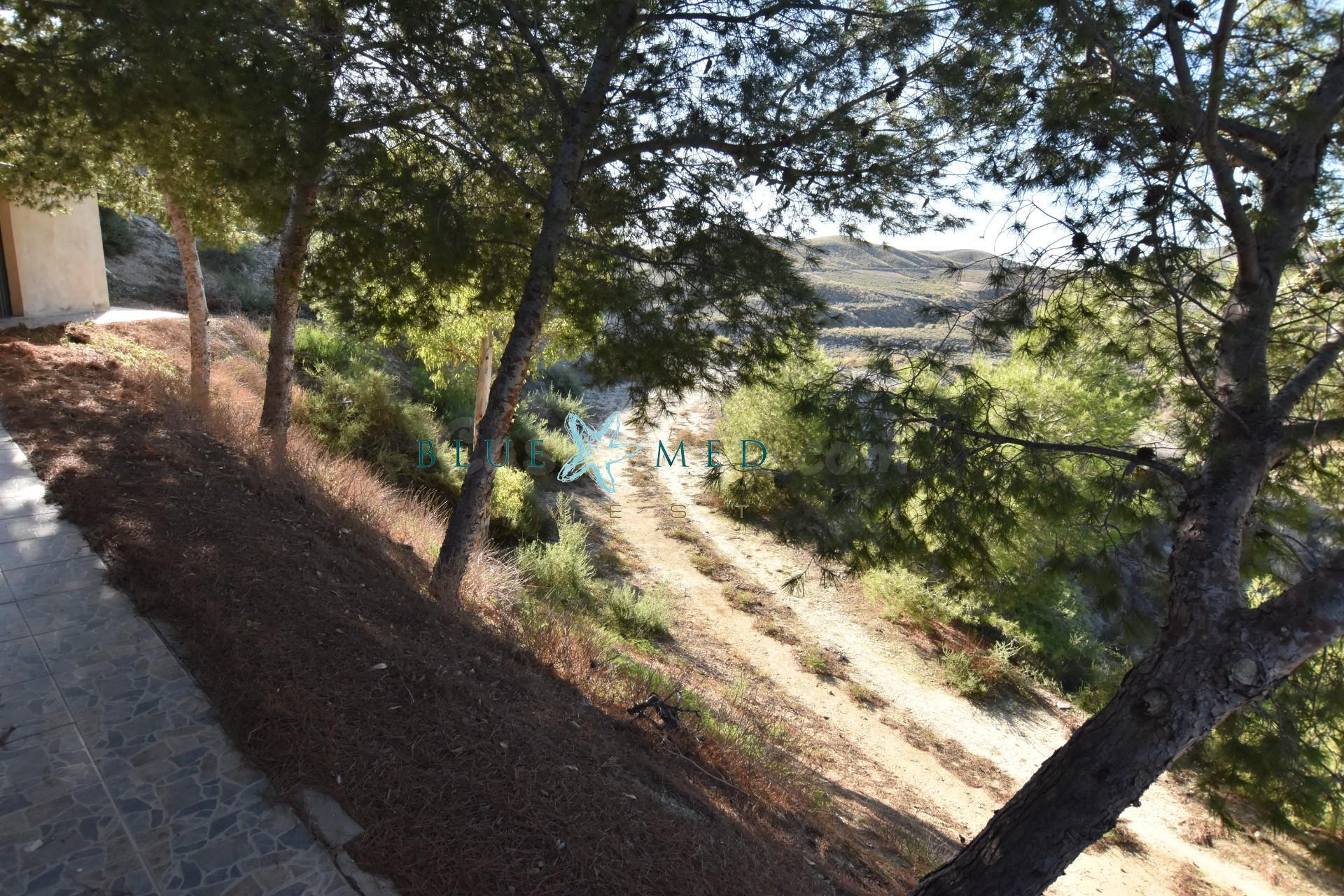 Casa de campo con balsón, derechos de agua y gran almacén en venta Los Ruices, Mazarrón - foto 3