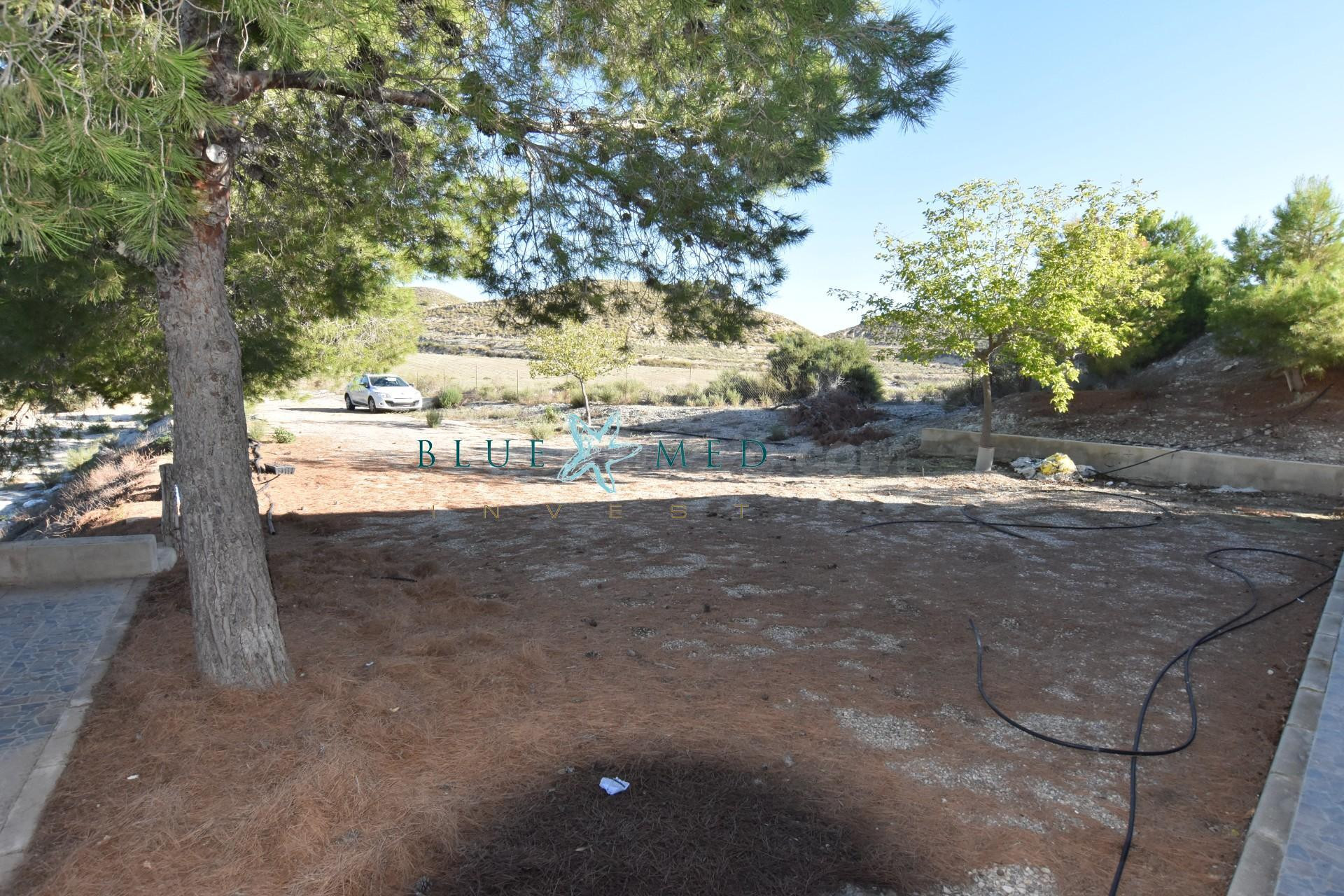 Casa de campo con balsón, derechos de agua y gran almacén en venta Los Ruices, Mazarrón - foto 4