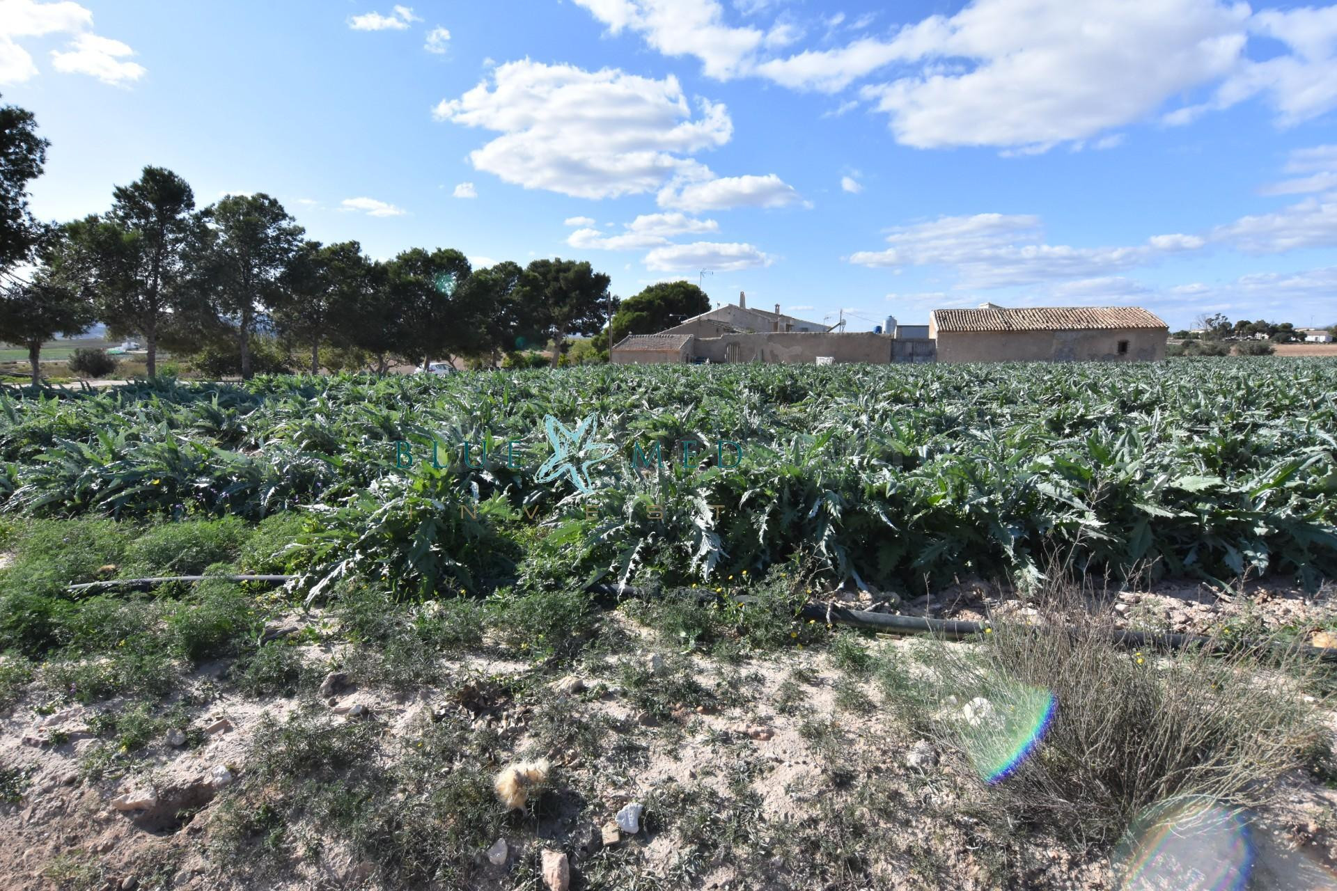 FINCA RÚSTICA EN VENTA EN CAÑADAS DEL ROMERO - foto 2