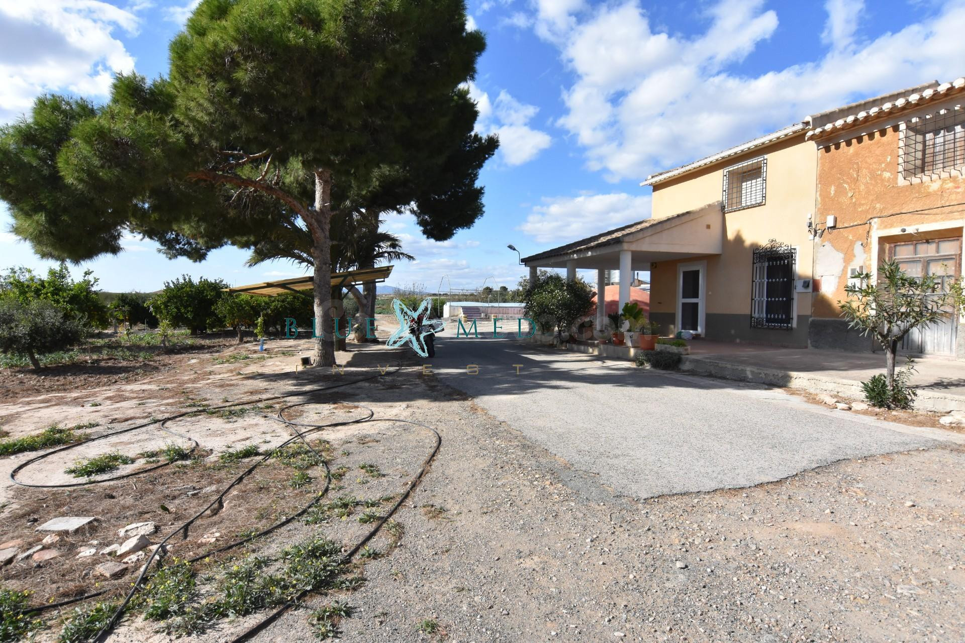 FINCA RÚSTICA EN VENTA EN CAÑADAS DEL ROMERO - foto 3