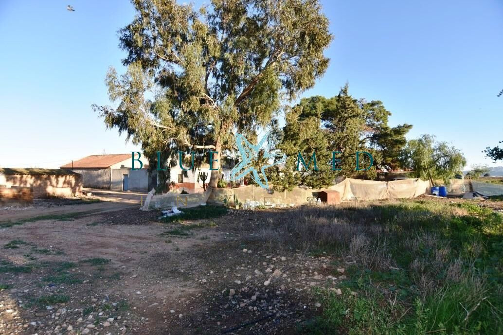 FINCA CON 2 CASAS Y AMPLIO TERRENO
