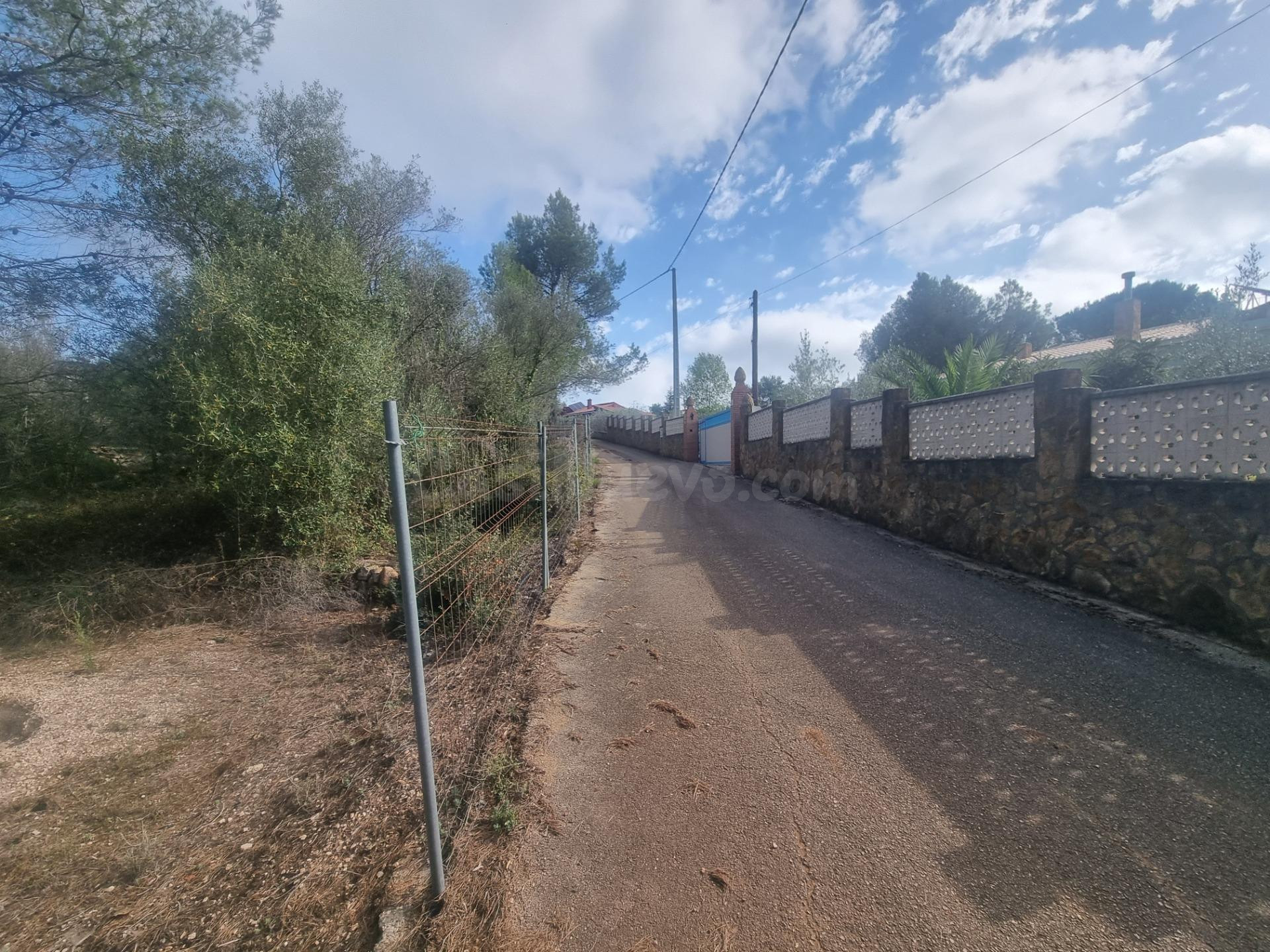 PARCELA RUSTICA - LA LLACUNA - foto 2