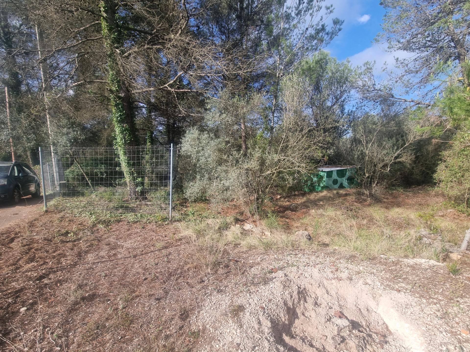 PARCELA RUSTICA - LA LLACUNA - foto 4