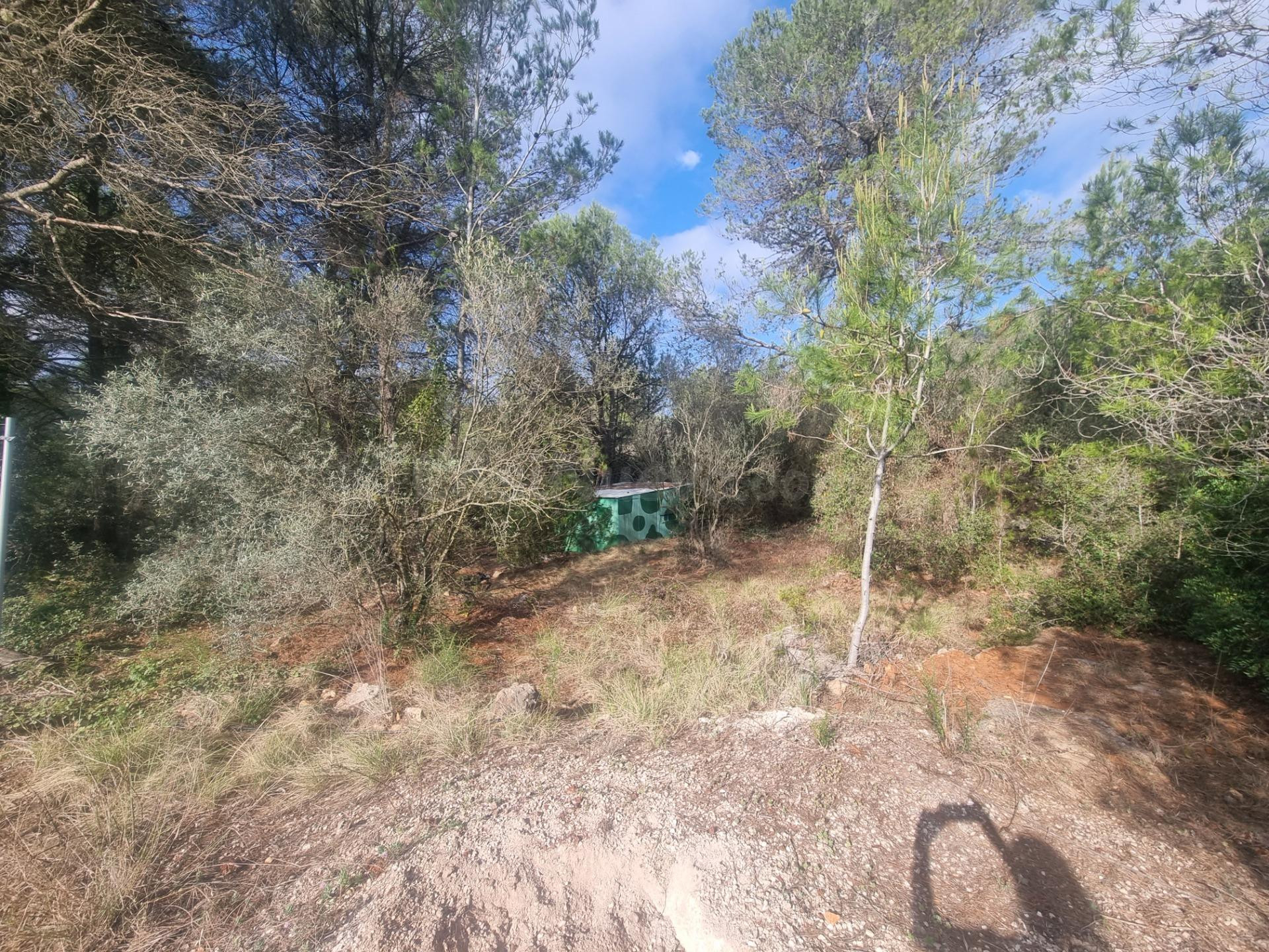PARCELA RUSTICA - LA LLACUNA - foto 5