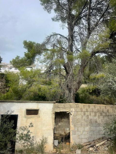 Terreno en venta en Alfaz del Pi – Colonia Escandinava - foto 2
