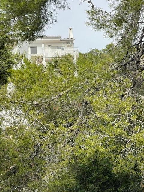 Terreno en venta en Alfaz del Pi – Colonia Escandinava - foto 3