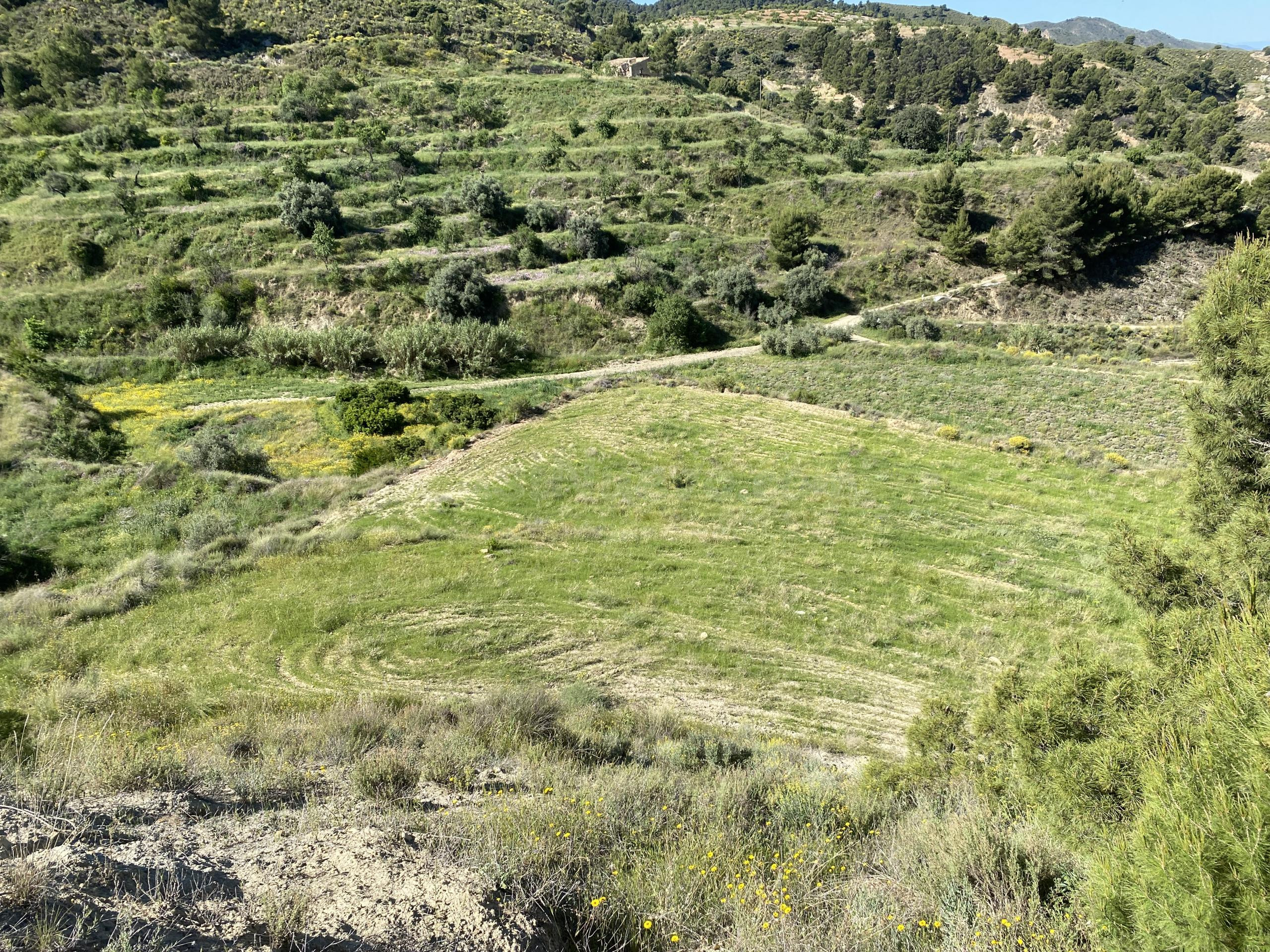 Venta de 2 Fincas Rústicas en Pasaje Lorca Nº S/N Lorca - foto 3