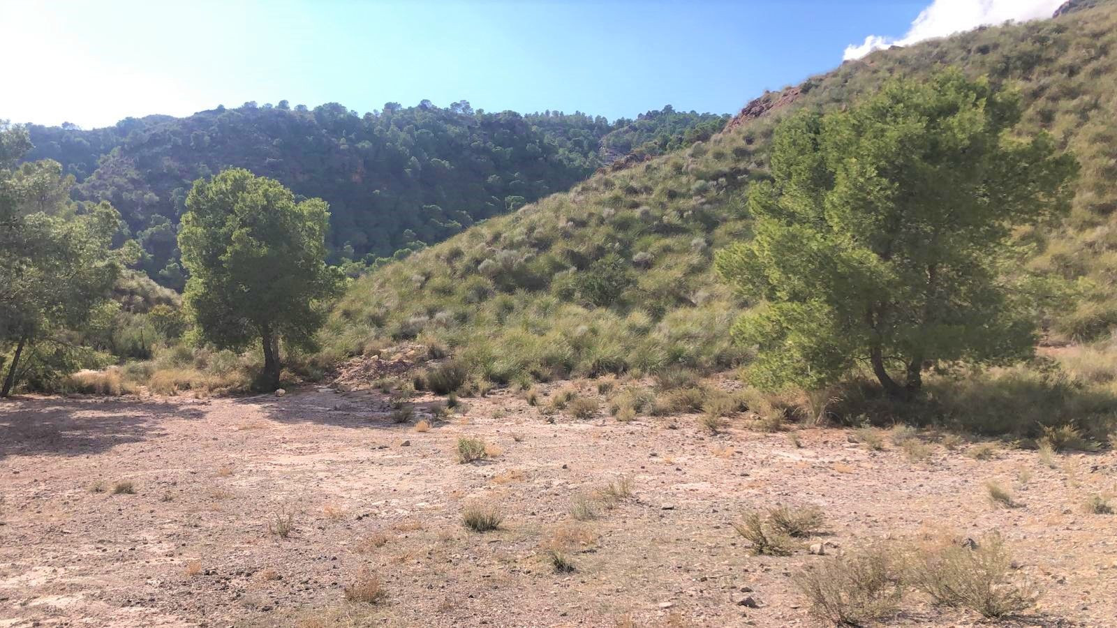 Venta de Finca Rústica Diputación La Hoya (Lorca) - foto 4