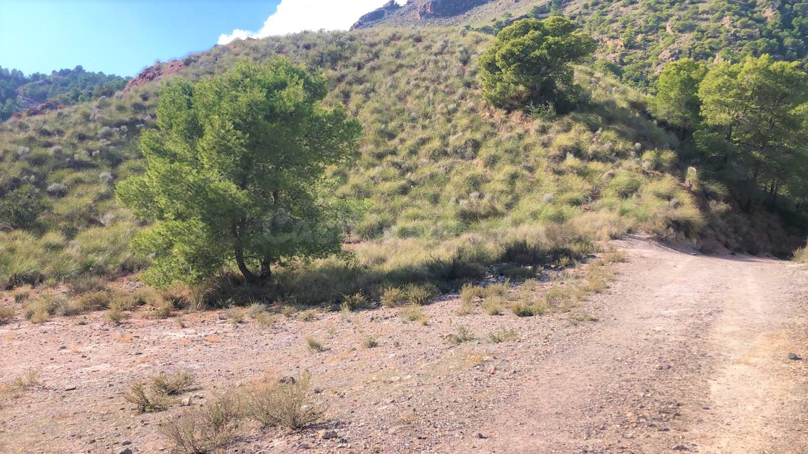 Venta de Finca Rústica Diputación La Hoya (Lorca) - foto 5