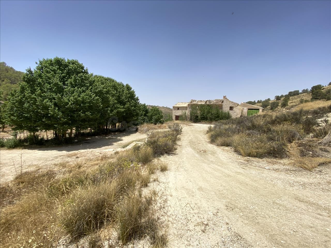 Venta de 12 Fincas Rústicas en Polígono Peralejo. Jumilla Nº