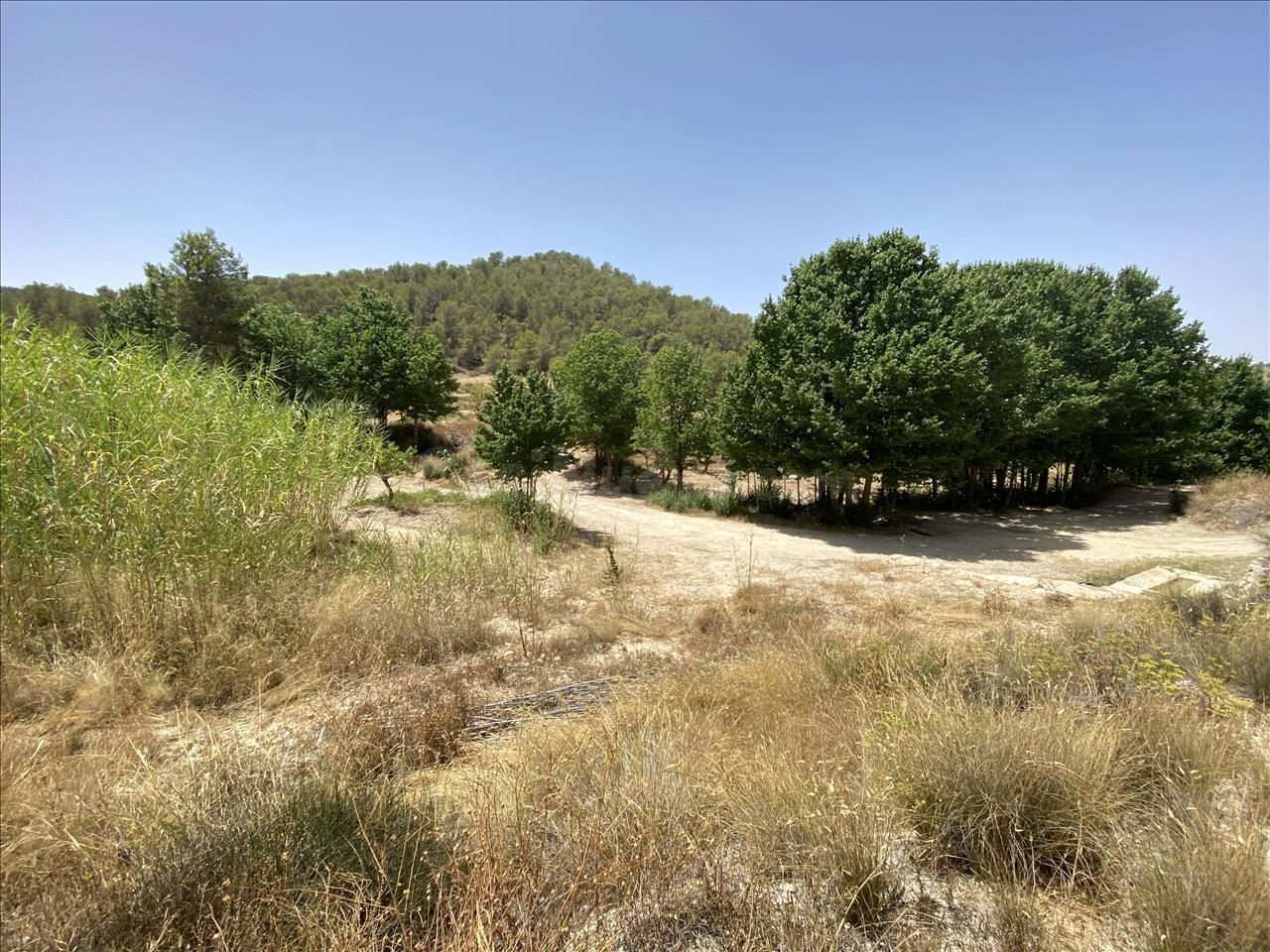 Venta de 12 Fincas Rústicas en Polígono Peralejo. Jumilla Nº - foto 2
