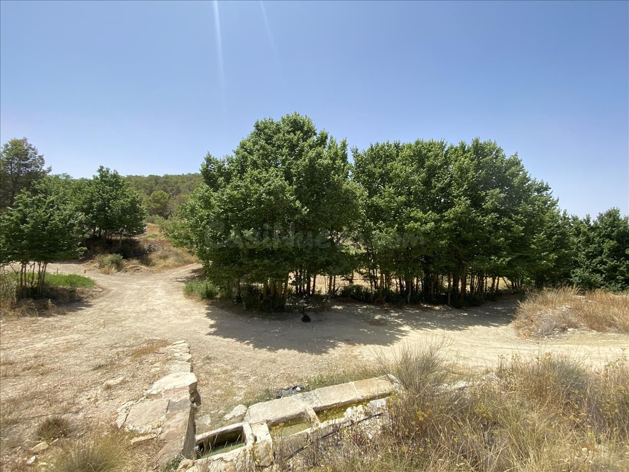 Venta de 12 Fincas Rústicas en Polígono Peralejo. Jumilla Nº - foto 3