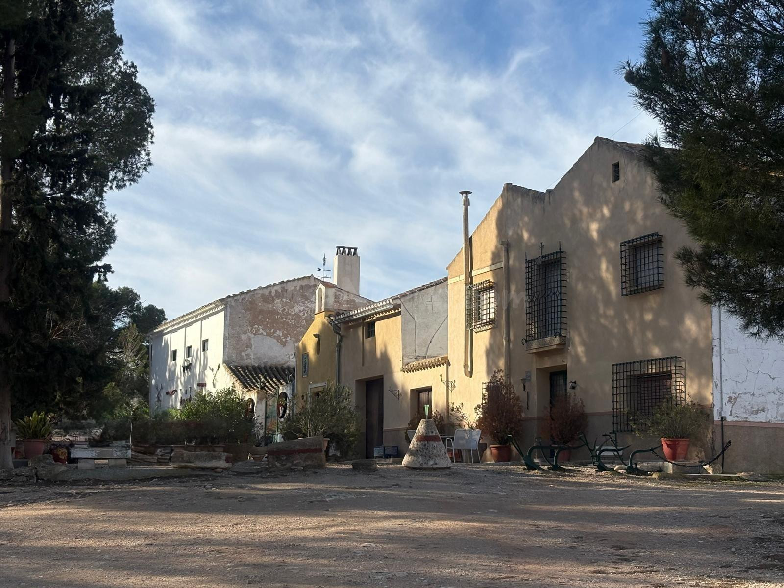 Finca Rústica en Jumilla en plena producción - foto 2