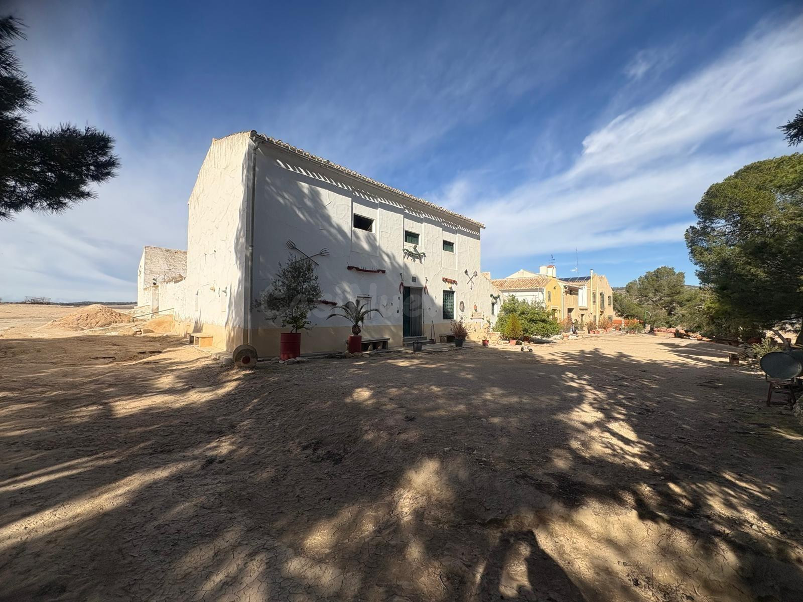 Finca Rústica en Jumilla en plena producción - foto 3