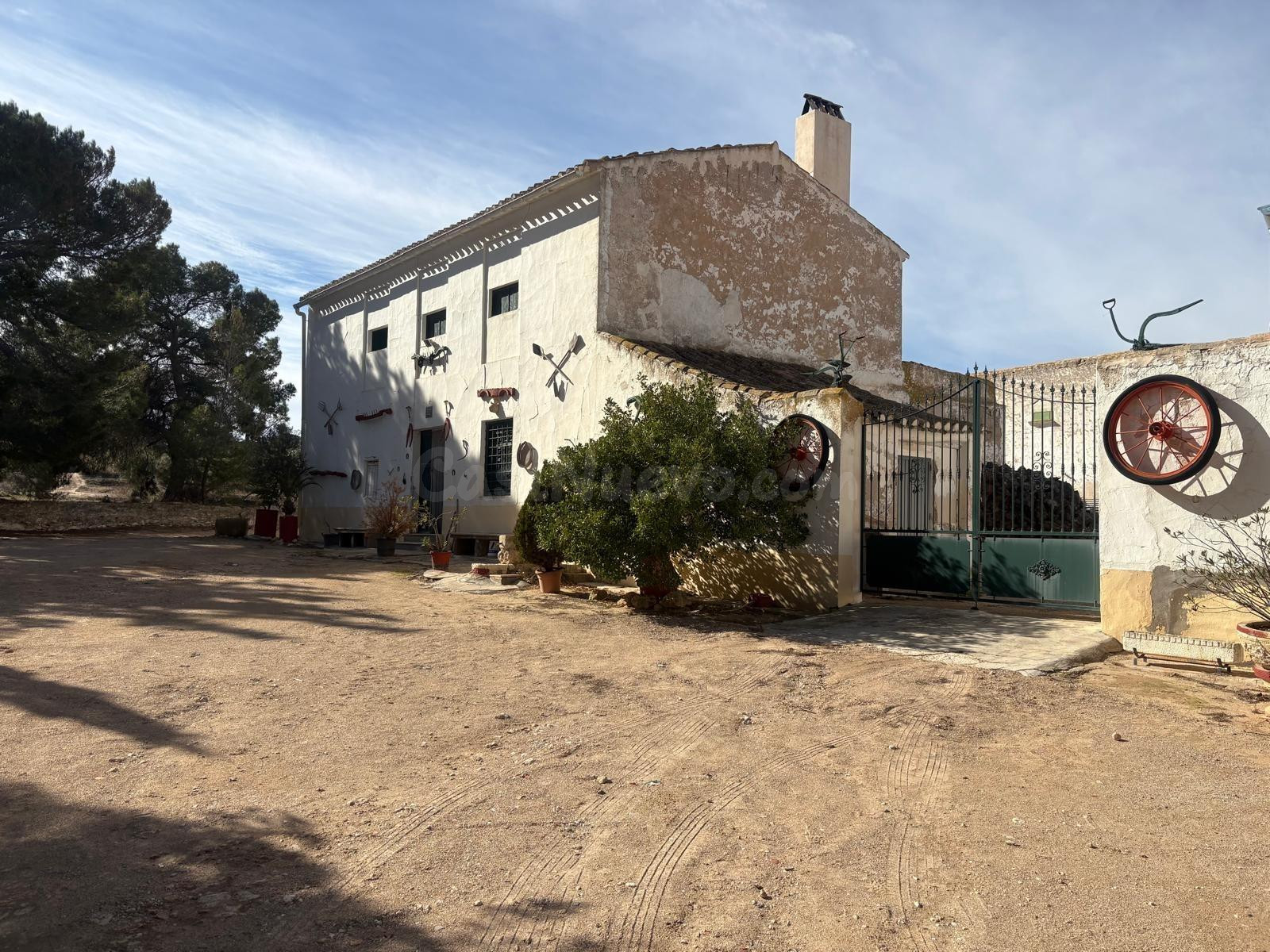 Finca Rústica en Jumilla en plena producción - foto 4