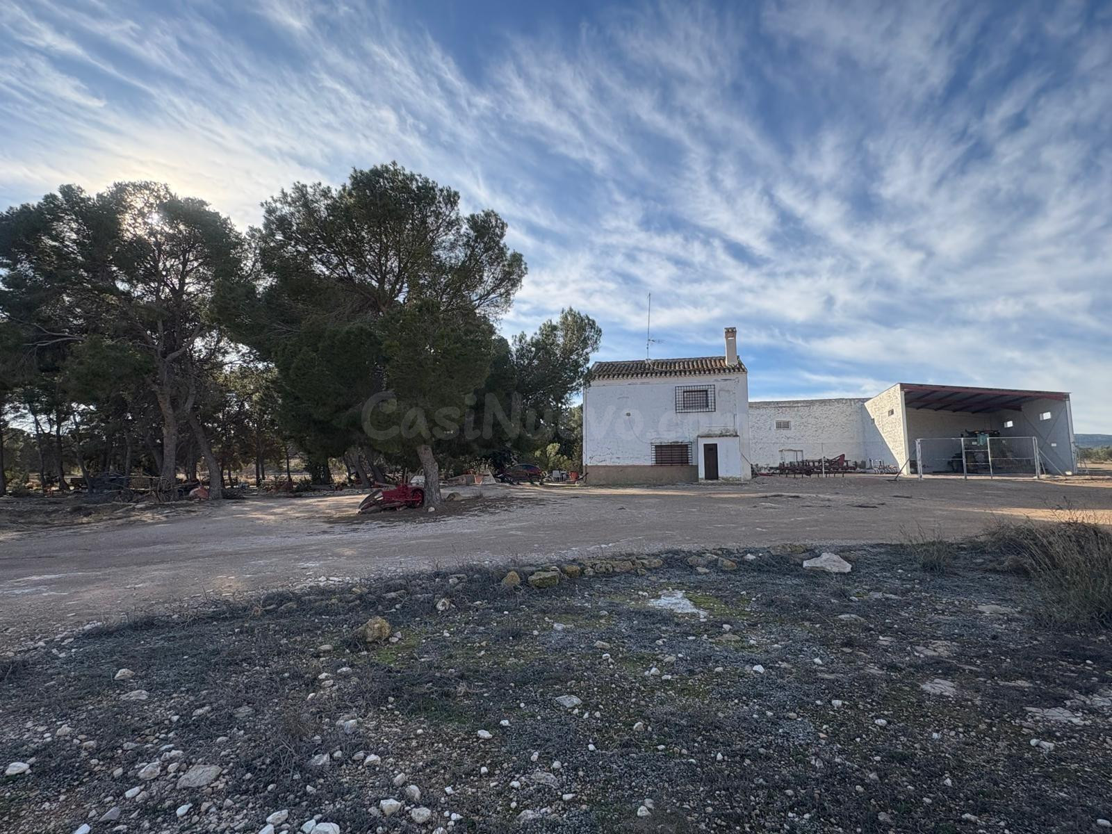 Finca Rústica en Jumilla en plena producción - foto 5