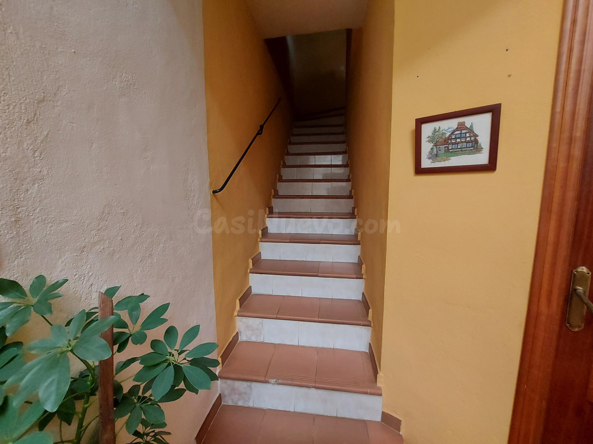 MAGNIFICA VIVIENDA DE 2 PLANTA + AZOTEA EN ZONA EL POTRO/ SA - foto 3