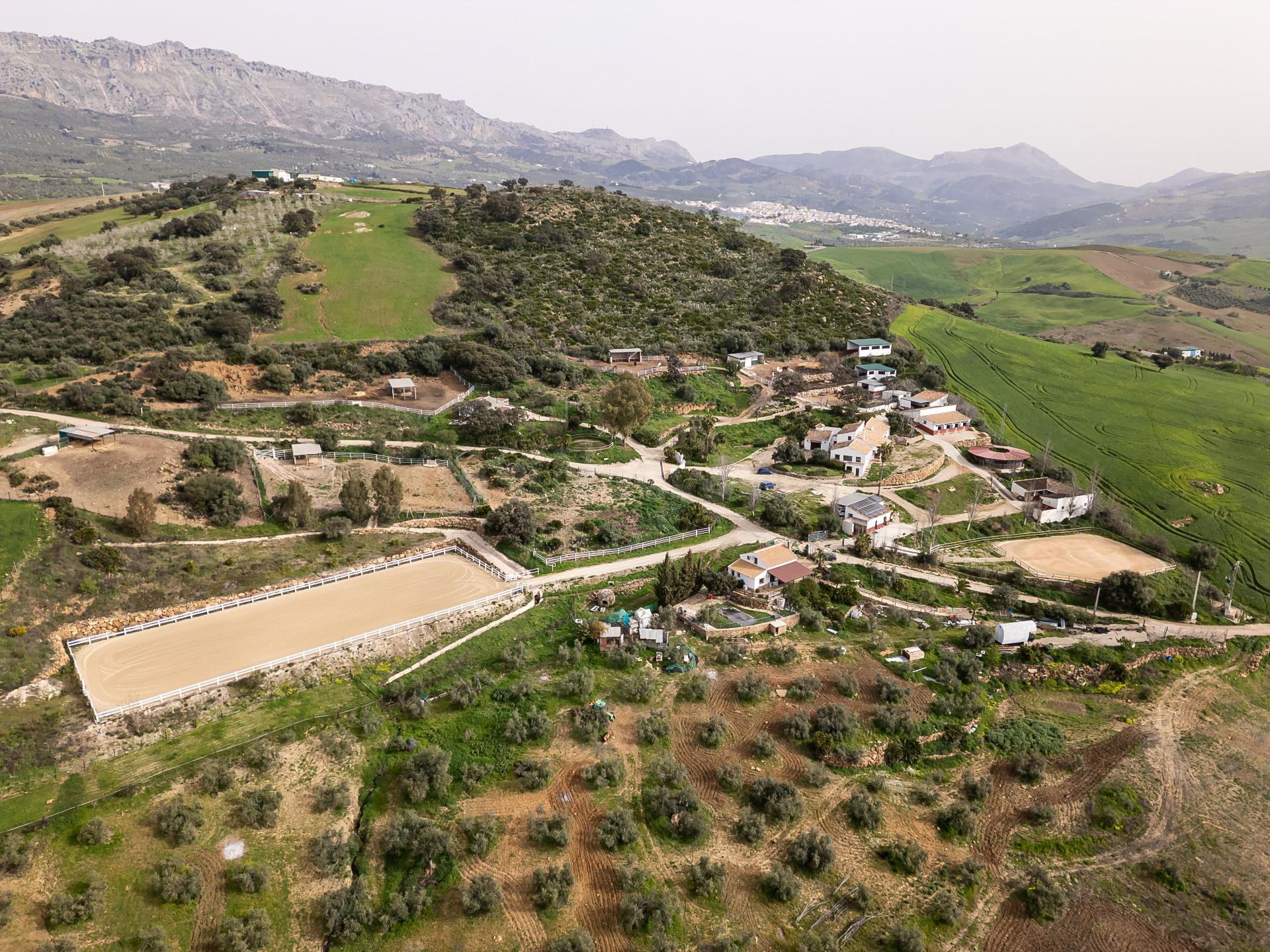 Finca ecuestre singular de 14 hectáreas en Málaga - foto 4