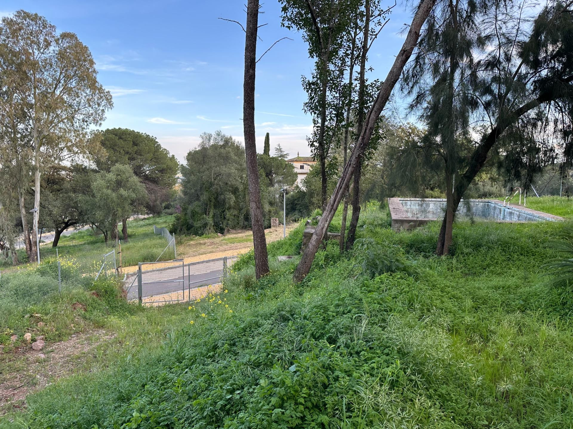 Parcela urbanizada en el Brillante, Córdoba - foto 3