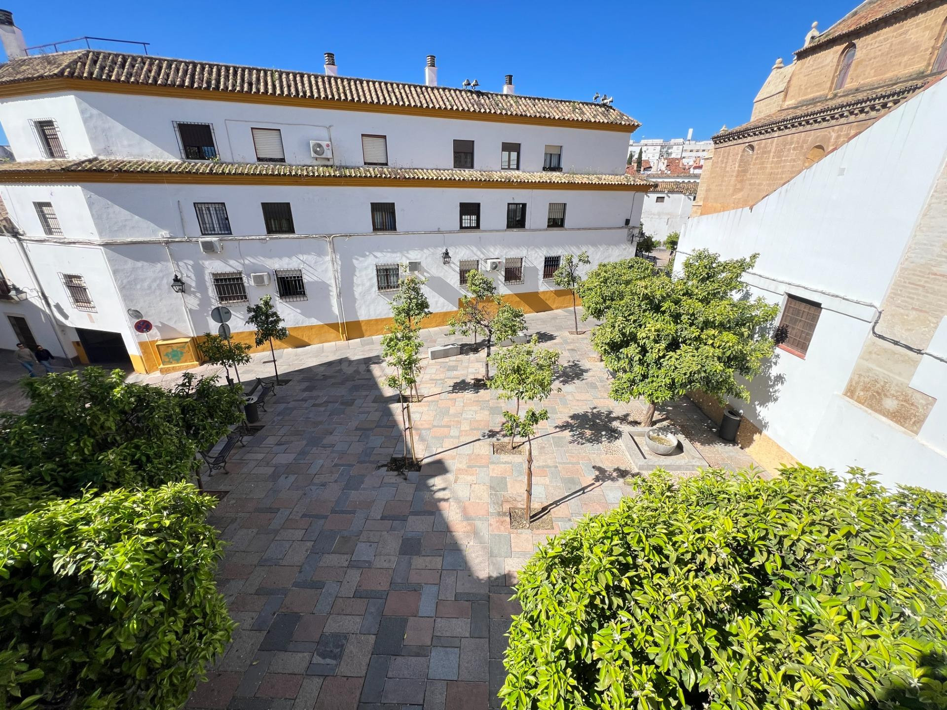 Amplio Local Comercial en Ollerías, Córdoba - Ideal para Inv - foto 3
