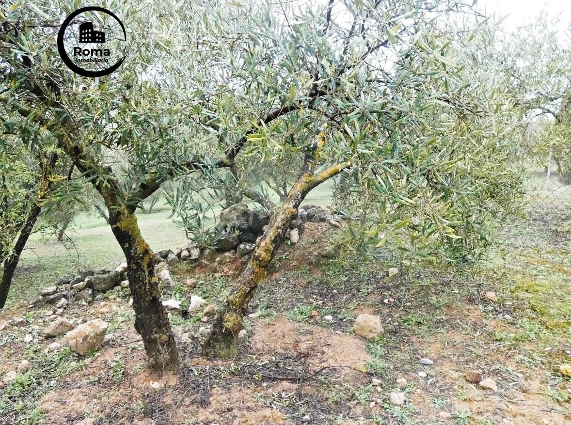 Finca rústica en Peligros – Excelente ubicación y acceso