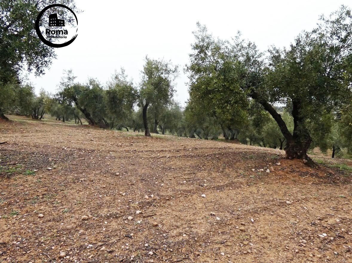 Finca rústica en Peligros – Excelente ubicación y acceso - foto 2
