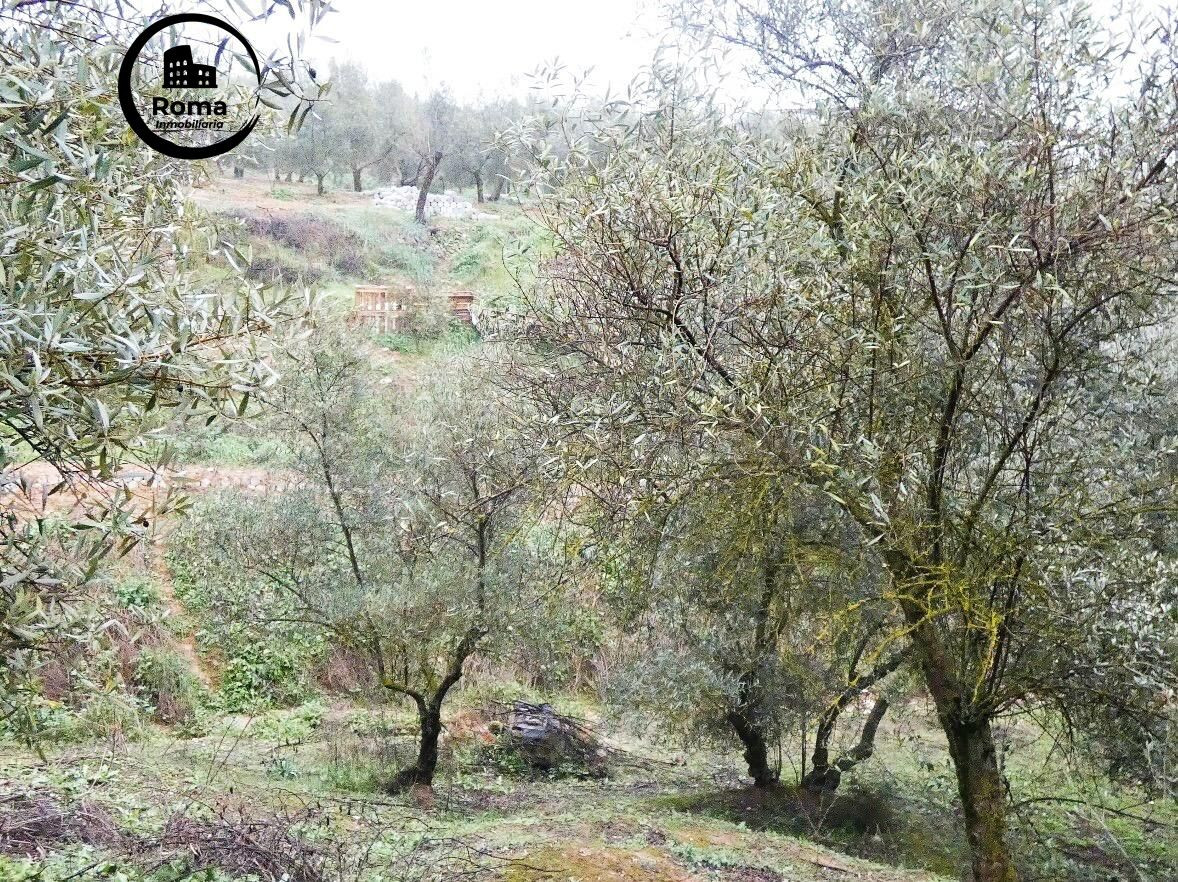 Finca rústica en Peligros – Excelente ubicación y acceso - foto 5