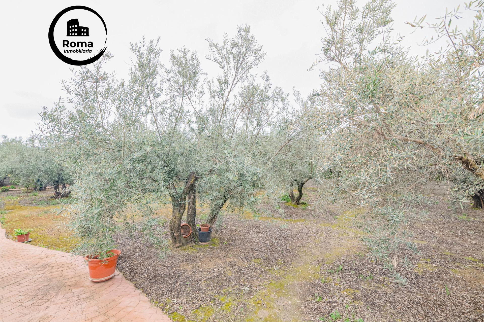 Terreno con Mobile Home - foto 3