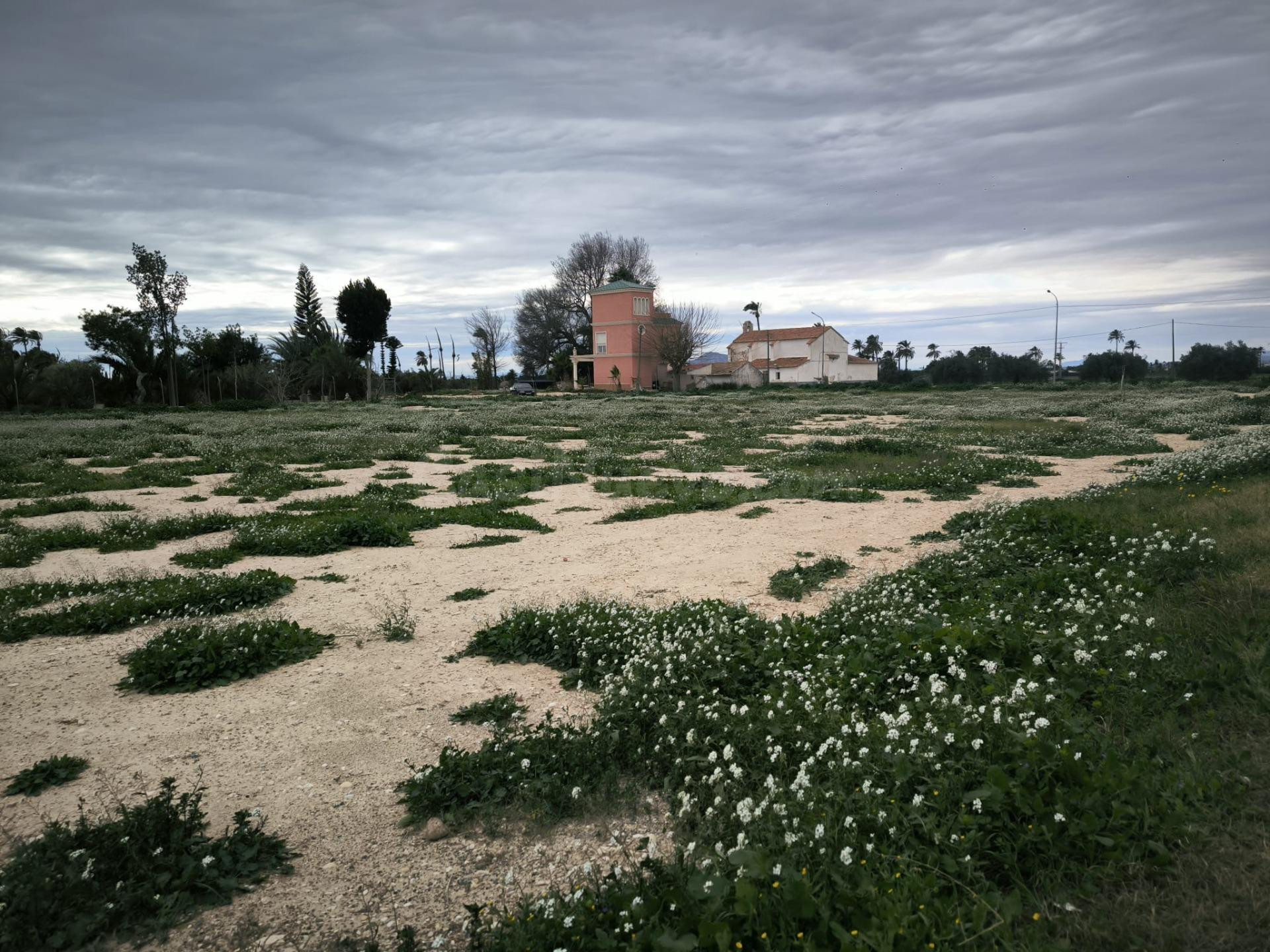 Finca Rústica en Elche, Partida Derramador - foto 3