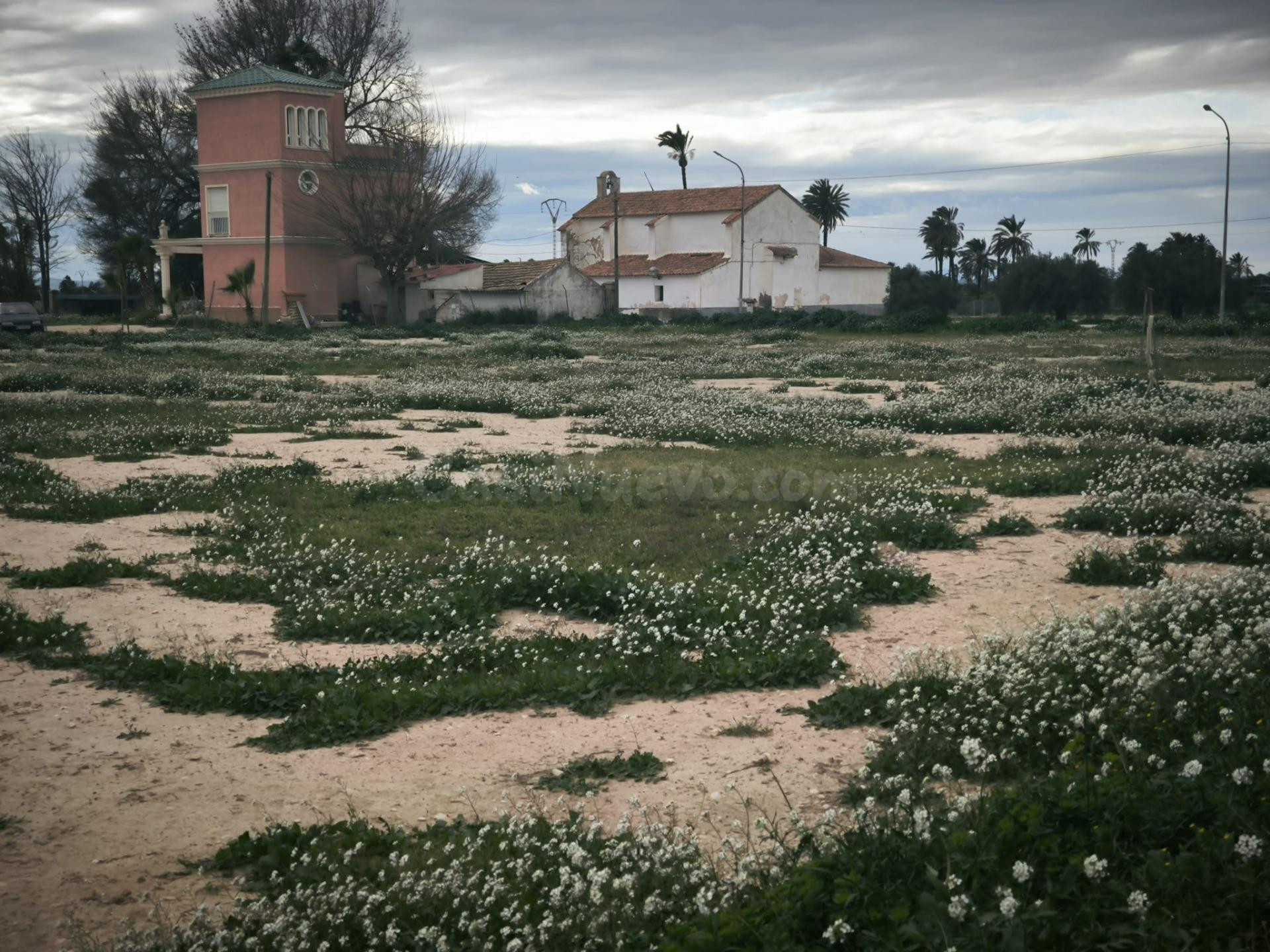 Finca Rústica en Elche, Partida Derramador - foto 4