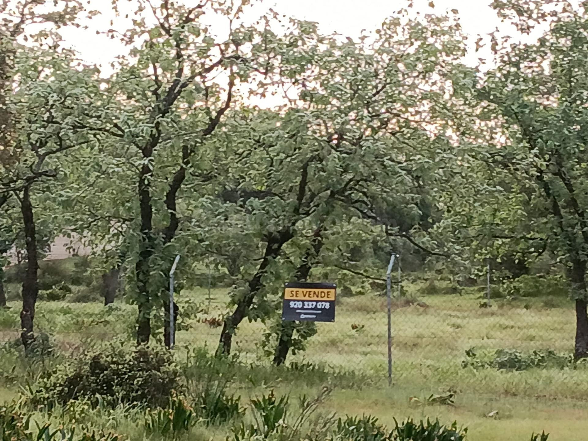 TERRENO RUSTICO AL LADO DEL CAMPO DE FUTBOL DE CANDELEDA