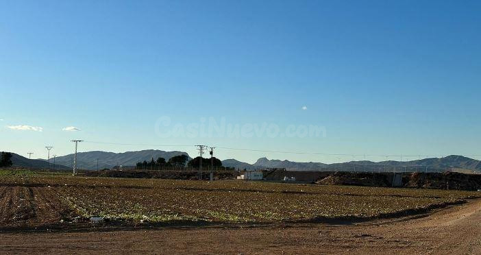 SE VENDE terreno rustico OKUPA en C Jumilla SN de Jumilla - foto 2