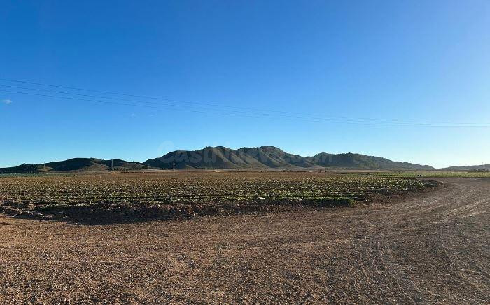 SE VENDE terreno rustico OKUPA en C Jumilla SN de Jumilla - foto 4
