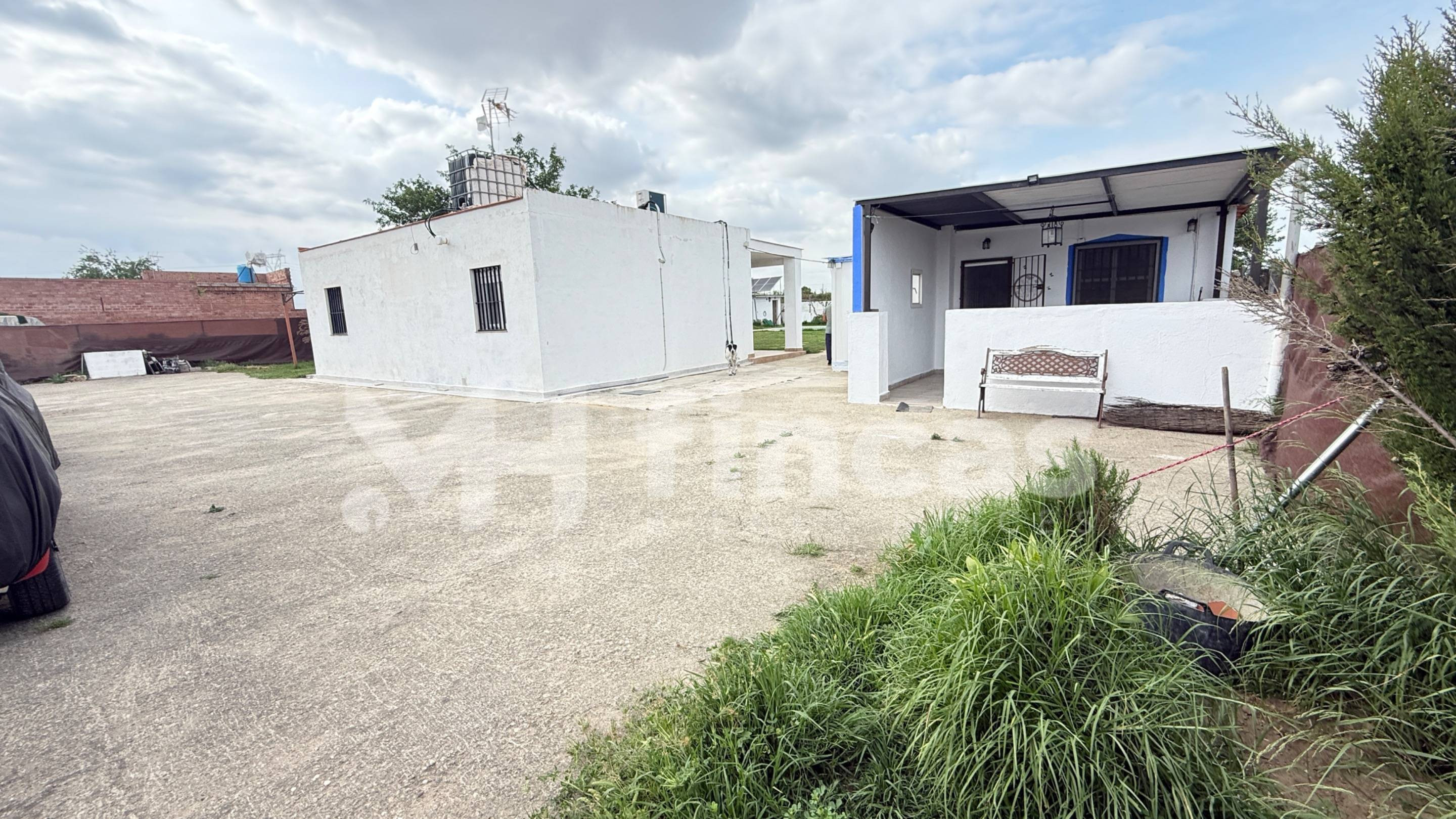 OPORTUNIDAD EN UTRERA – HUERTA CÓNICA (VALLEHERMOSO) - foto 5