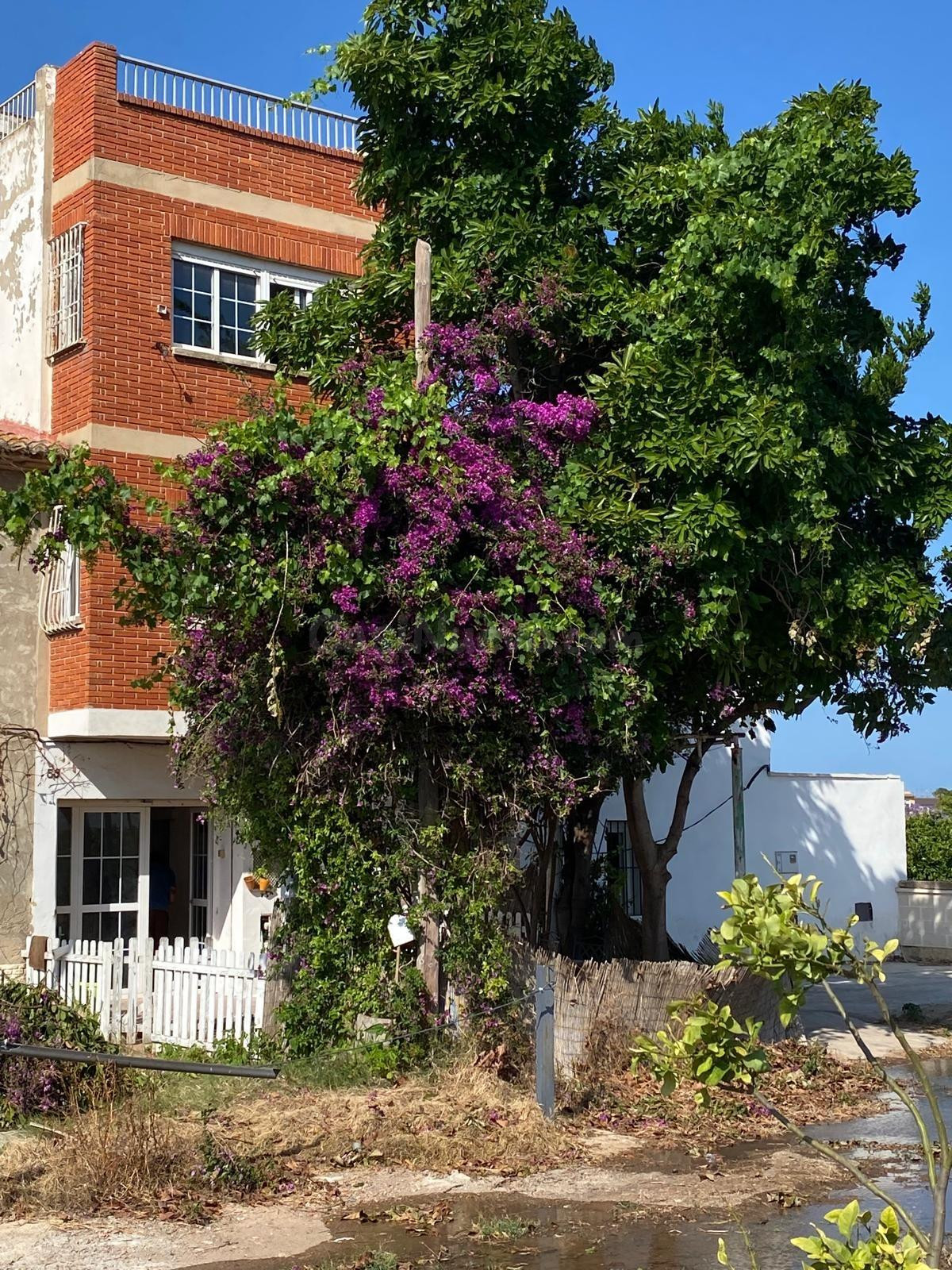 CASA DE CAMPO EN ALBUIXECH - foto 2