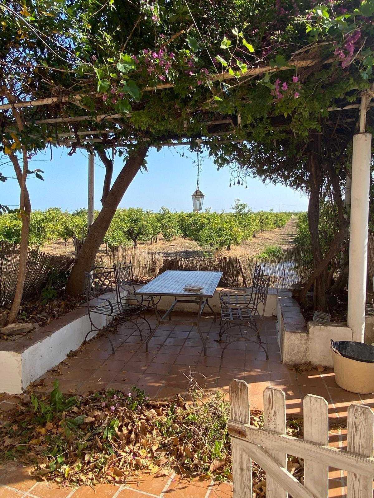 CASA DE CAMPO EN ALBUIXECH - foto 4